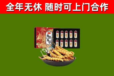 巴楚回收冬虫夏草价格